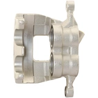 Jarrusatula sopii Ford