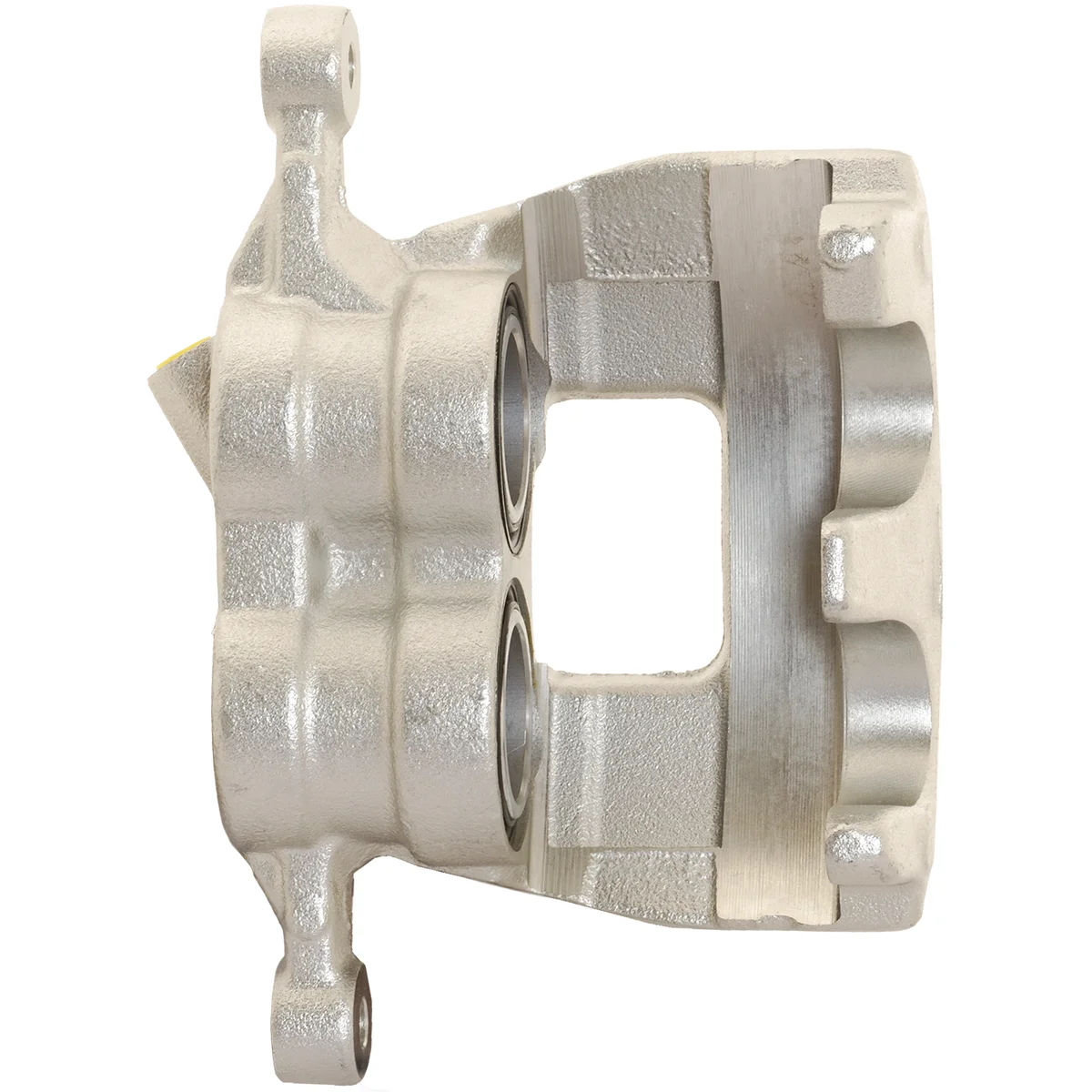 Jarrusatula sopii Ford