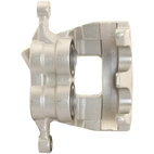 Jarrusatula sopii Ford