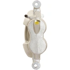 Jarrusatula sopii Ford