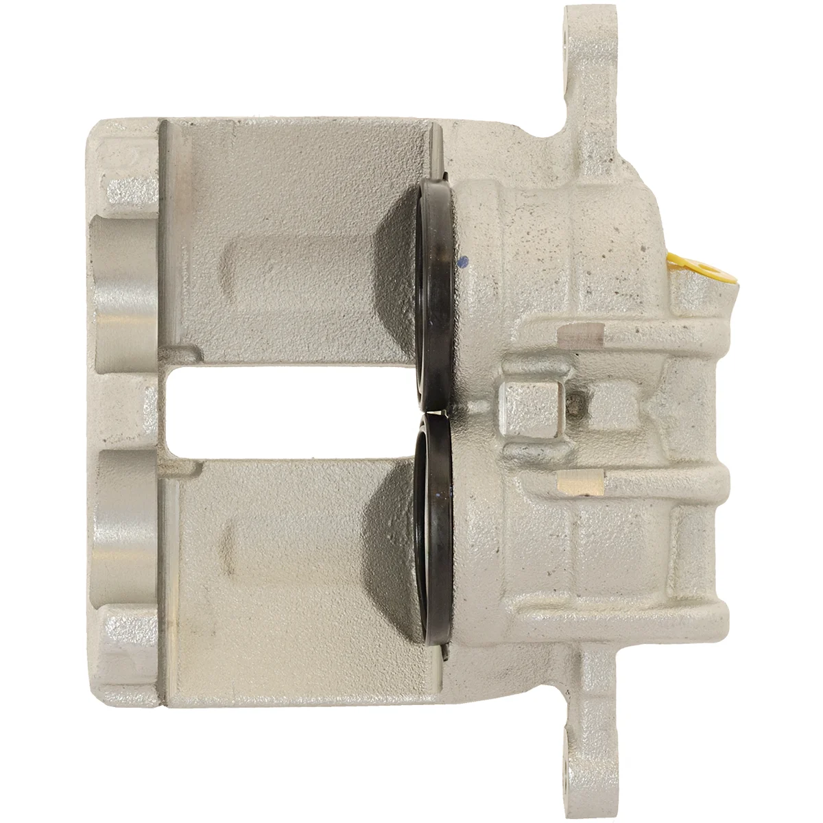 Jarrusatula sopii PSA