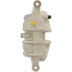 Jarrusatula sopii PSA