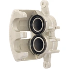 Jarrusatula sopii PSA