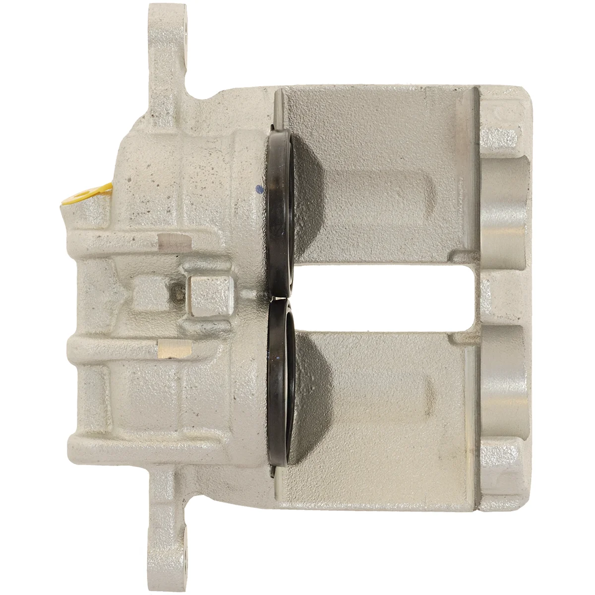 Jarrusatula sopii PSA