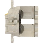 Jarrusatula sopii PSA