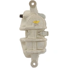 Jarrusatula sopii PSA