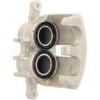 Jarrusatula sopii PSA