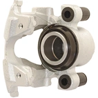 Jarrusatula sopii Dacia / Renault