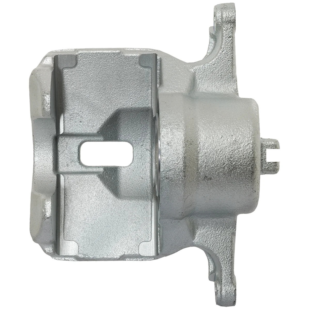 Jarrusatula sopii Nissan/Renault