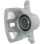 Jarrusatula sopii Nissan/Renault