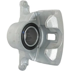 Jarrusatula sopii Nissan/Renault