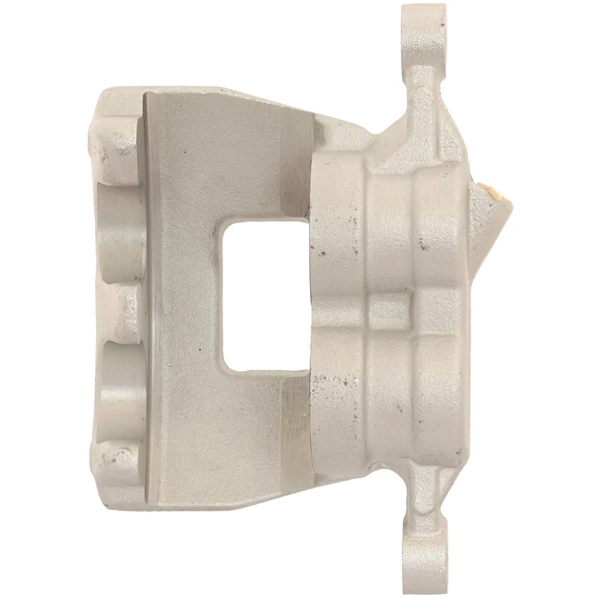 Jarrusatula sopii Ford