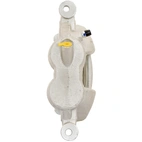 Jarrusatula sopii Ford