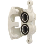 Jarrusatula sopii Ford