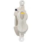 Jarrusatula sopii Ford