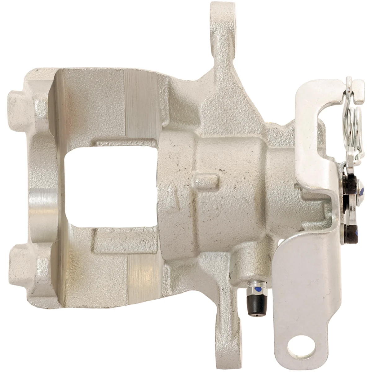 Jarrusatula sopii Ford