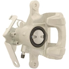 Jarrusatula sopii Ford