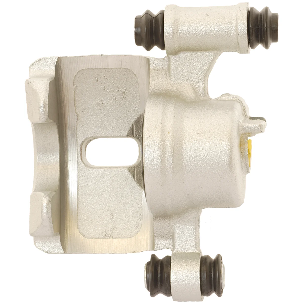 Jarrusatula sopii Kia