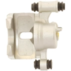 Jarrusatula sopii Kia