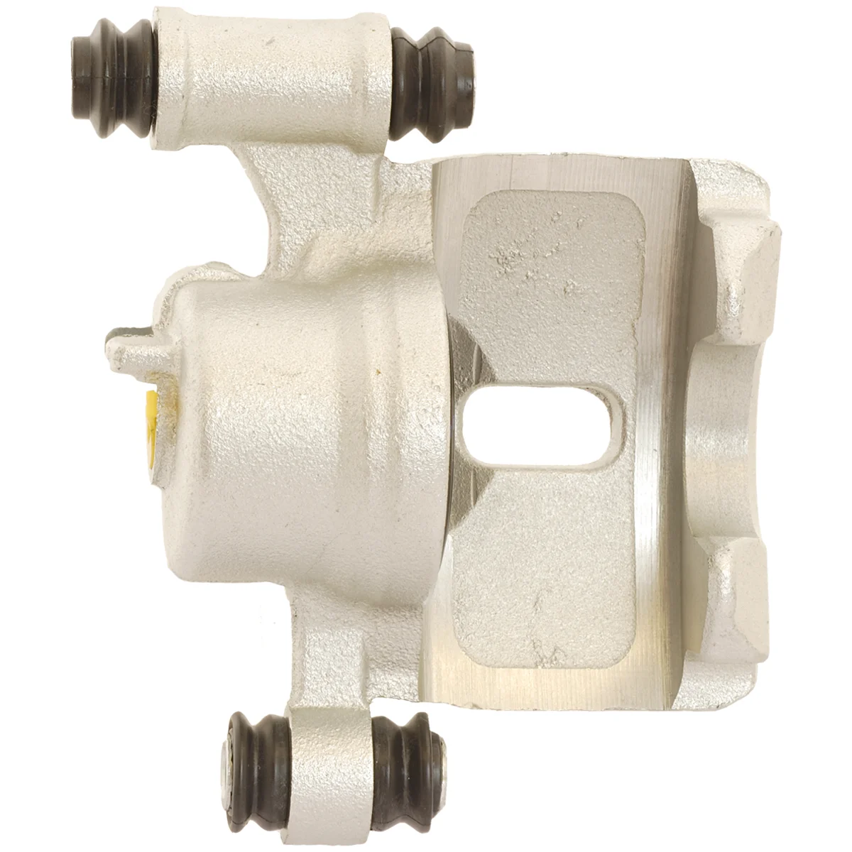 Jarrusatula sopii Kia