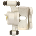 Jarrusatula sopii Kia