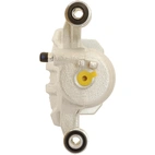 Jarrusatula sopii Kia