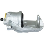 Jarrusatula sopii Opel