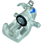 Jarrusatula sopii Peugeot