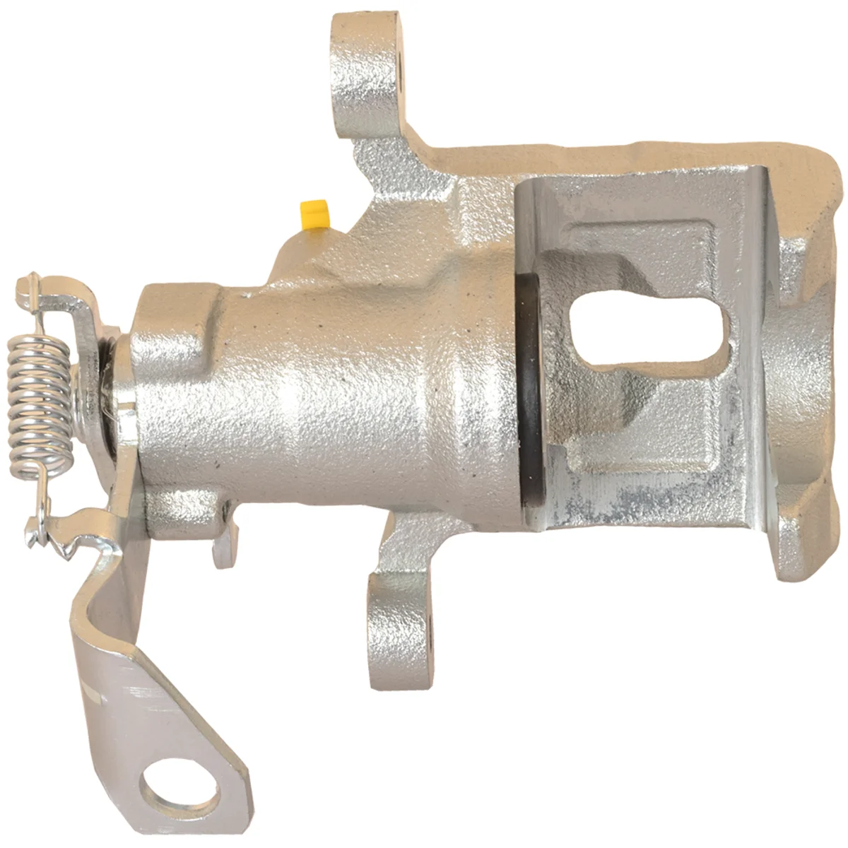 Jarrusatula sopii Kia