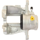 Jarrusatula sopii Mercedes