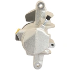 Jarrusatula sopii Mercedes