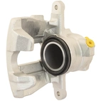 Jarrusatula sopii Mercedes