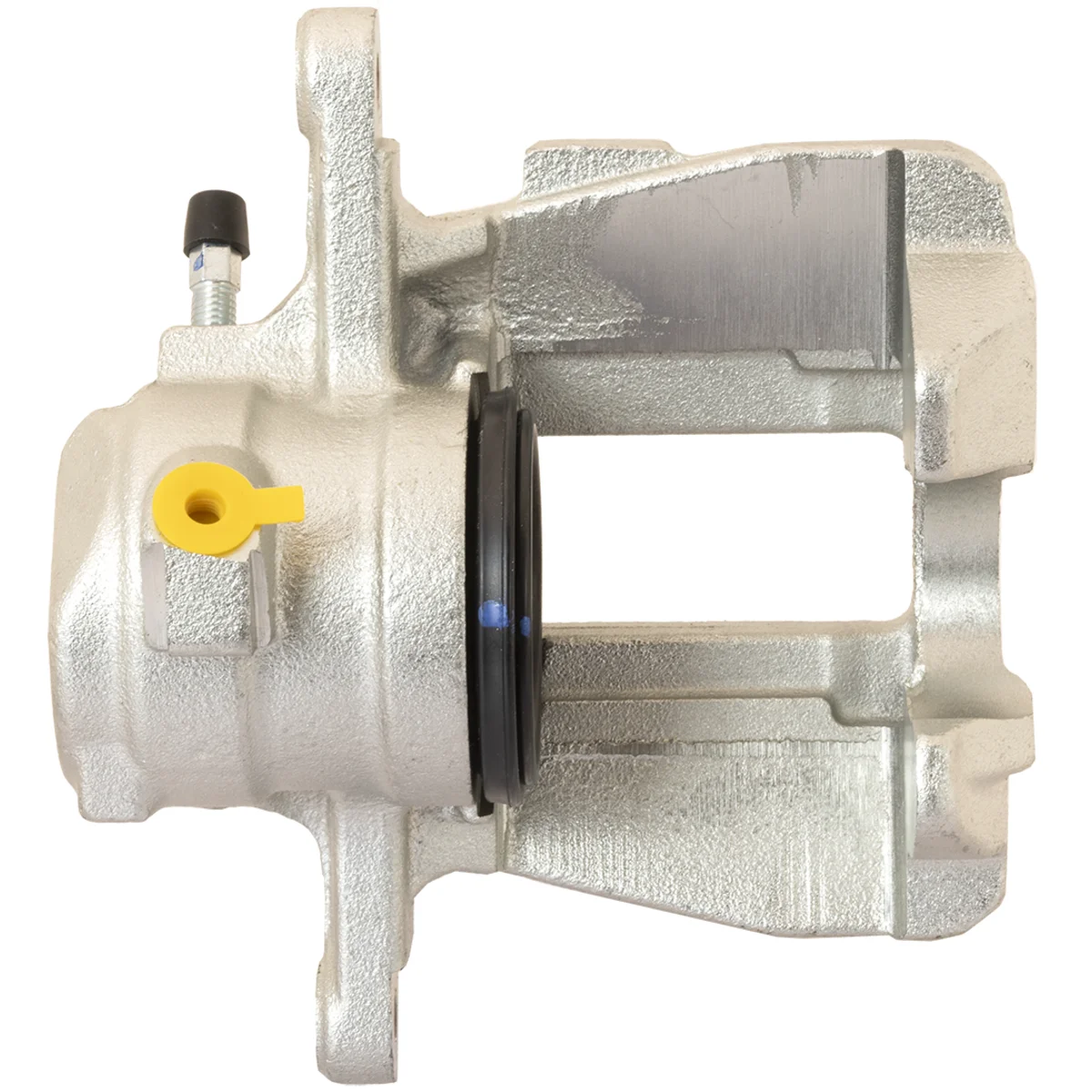 Jarrusatula sopii Mercedes