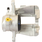 Jarrusatula sopii Mercedes