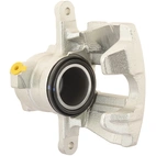 Jarrusatula sopii Mercedes