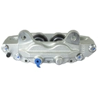 Jarrusatula sopii Toyota