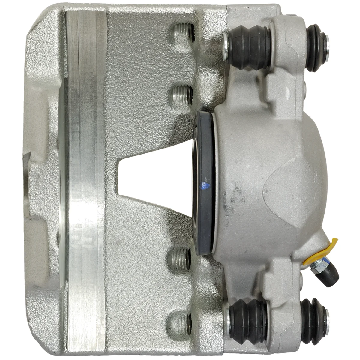 Jarrusatula sopii Audiin