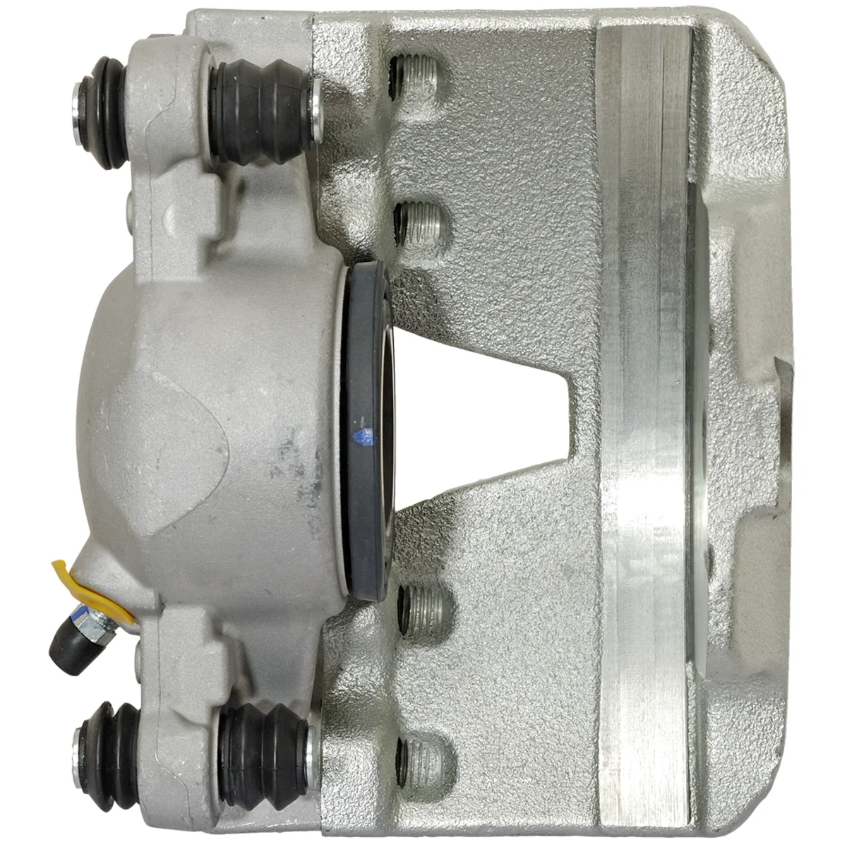 Jarrusatula sopii Audiin