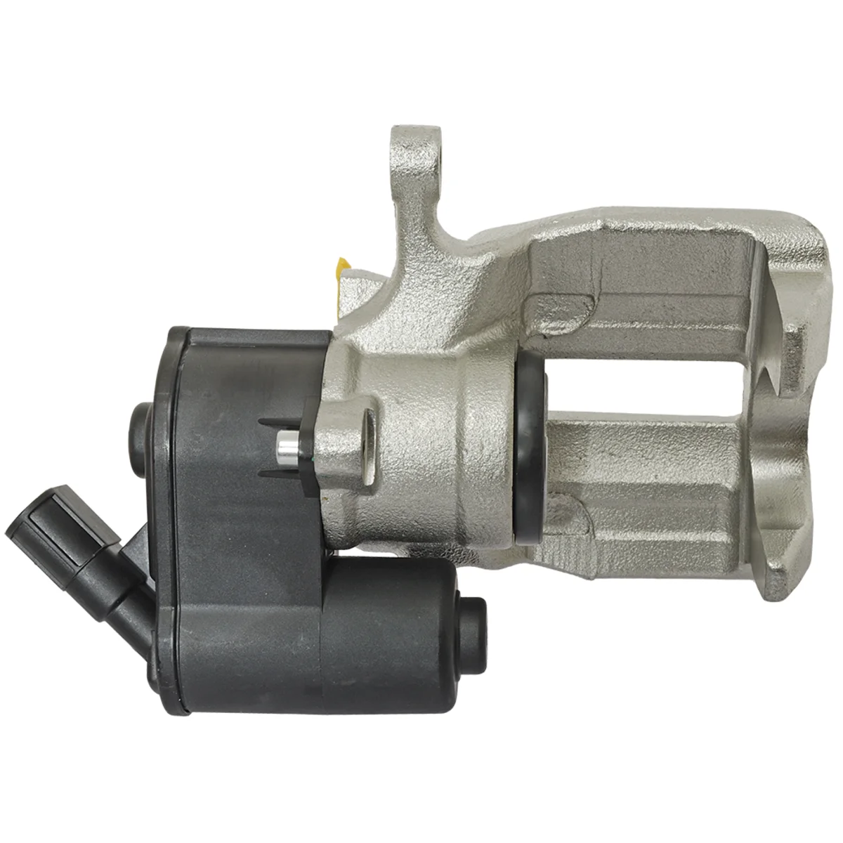 Jarrusatula sopii Audiin