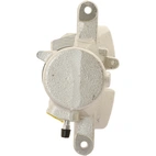 Jarrusatula sopii Mercedes