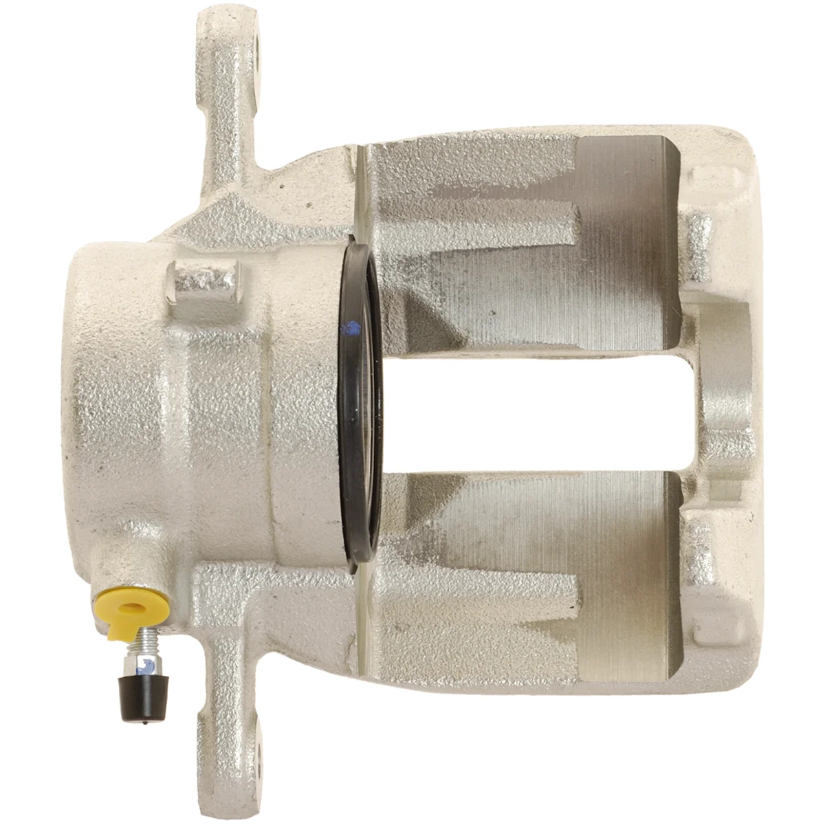 Jarrusatula sopii Mercedes