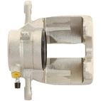 Jarrusatula sopii Mercedes