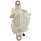 Jarrusatula sopii Mercedes