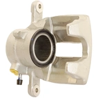 Jarrusatula sopii Mercedes