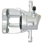 Jarrusatula sopii Mercedes