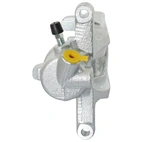 Jarrusatula sopii Mercedes