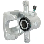 Jarrusatula sopii Mercedes