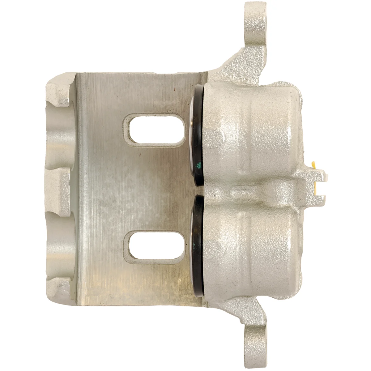 Jarrusatula sopii Nissan