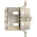 Jarrusatula sopii Nissan