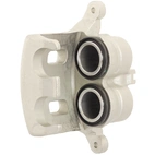 Jarrusatula sopii Nissan